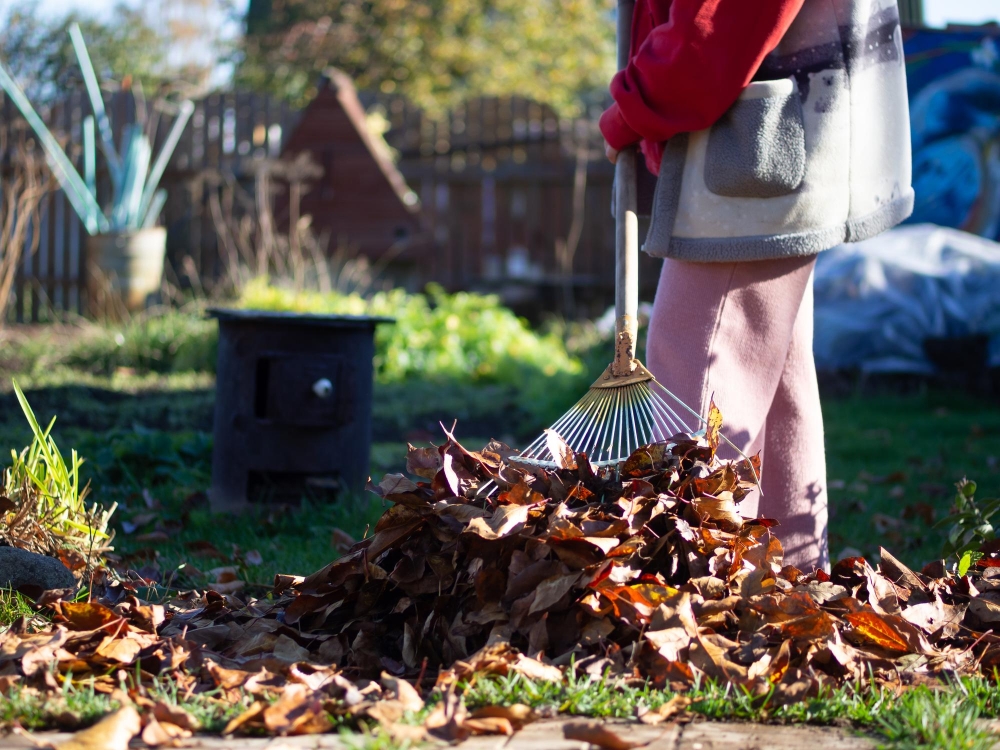 Garden Clearance Service 